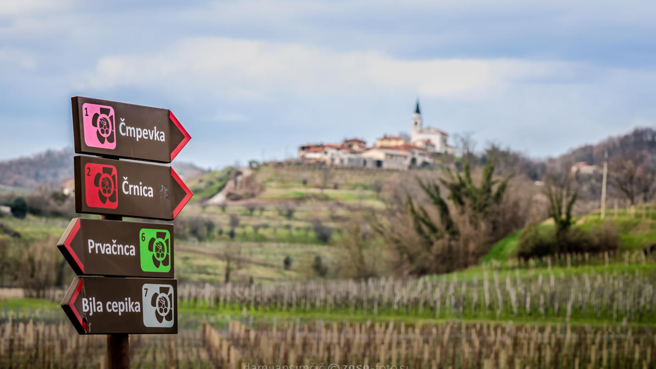 Breskve V Cvetu II (38 Of 52)